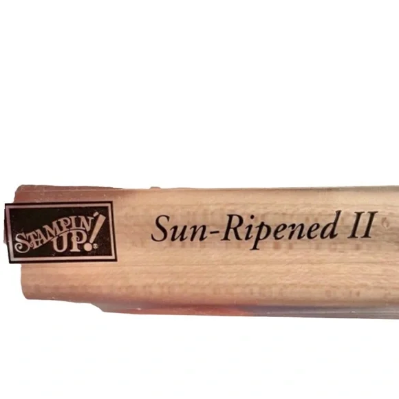 Stampin’ Up “Sun Ripened II” Lemon Grape Apple Tree Harvest Rubber Stamp Set - Picture 5 of 11